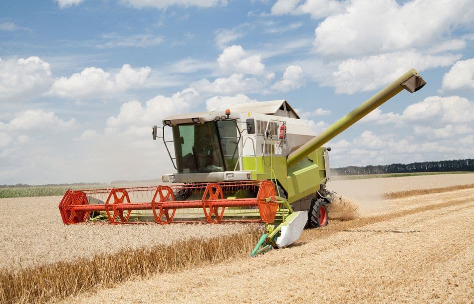 Combine working on a wheat field