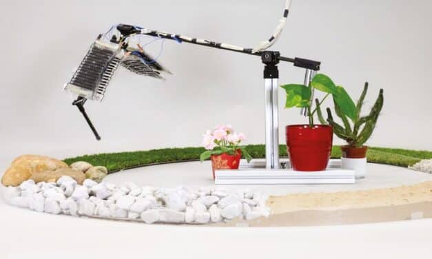 Laufen und Springen mit elektrohydraulischen Aktuatoren